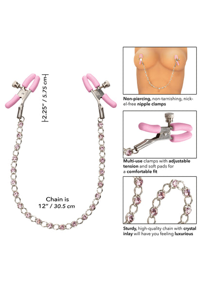 Strizza capezzoli Crystal Nipple Teasers